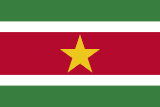 Suriname scenery flag